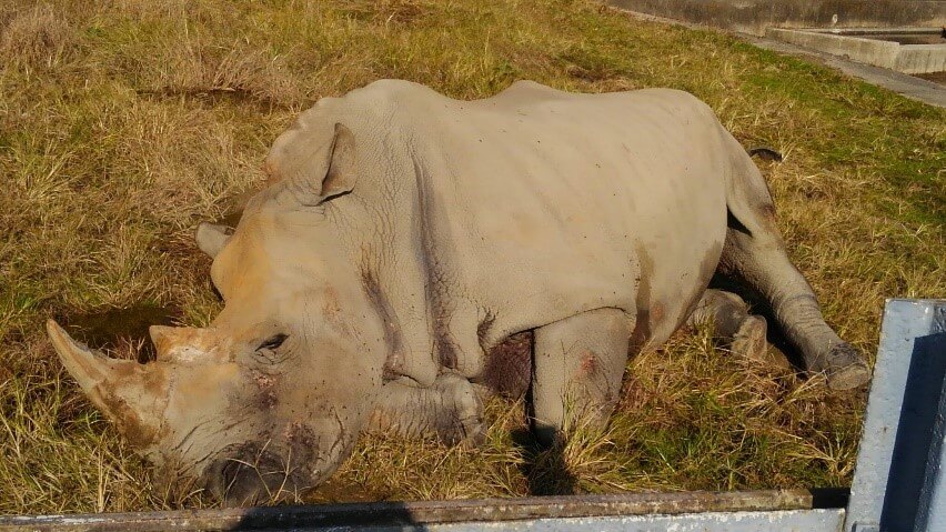 東武動物公園で遠足です あずさ第一通信 あずさ第一高等学校 単位制 普通科 広域通信制高校