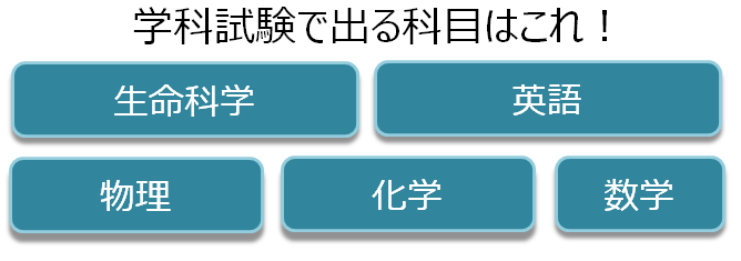 学科試験に出る科目